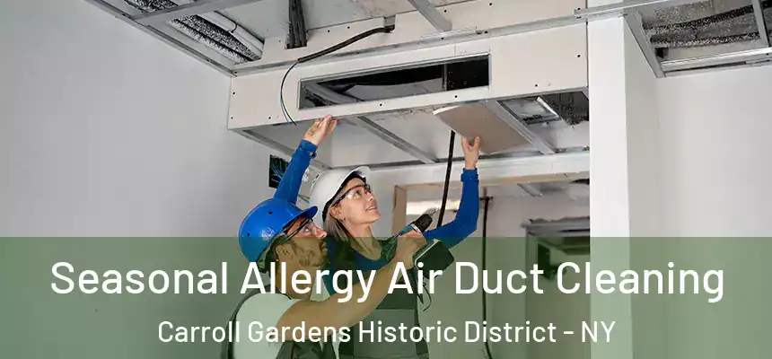 Seasonal Allergy Air Duct Cleaning Carroll Gardens Historic District - NY