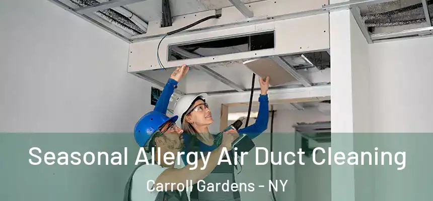 Seasonal Allergy Air Duct Cleaning Carroll Gardens - NY