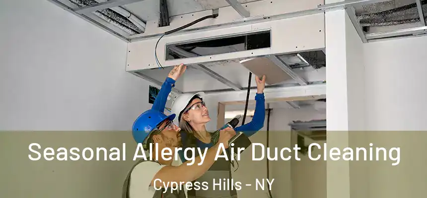Seasonal Allergy Air Duct Cleaning Cypress Hills - NY