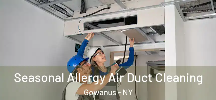 Seasonal Allergy Air Duct Cleaning Gowanus - NY
