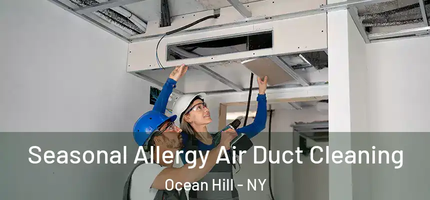  Seasonal Allergy Air Duct Cleaning Ocean Hill - NY