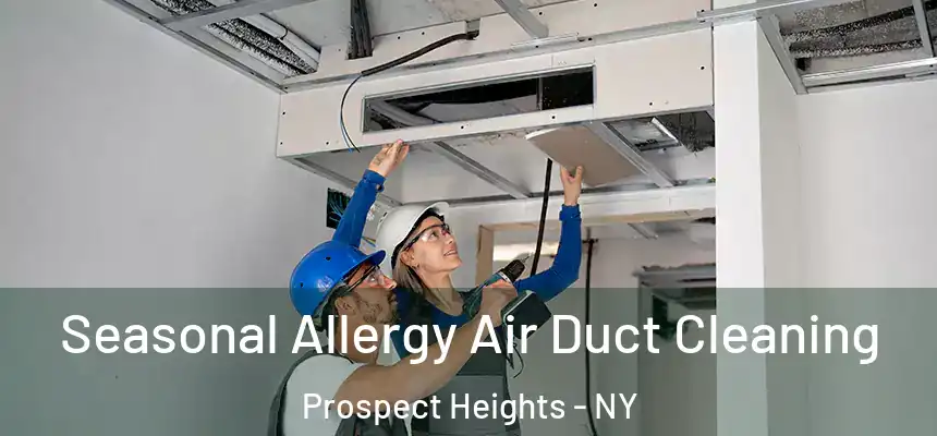 Seasonal Allergy Air Duct Cleaning Prospect Heights - NY
