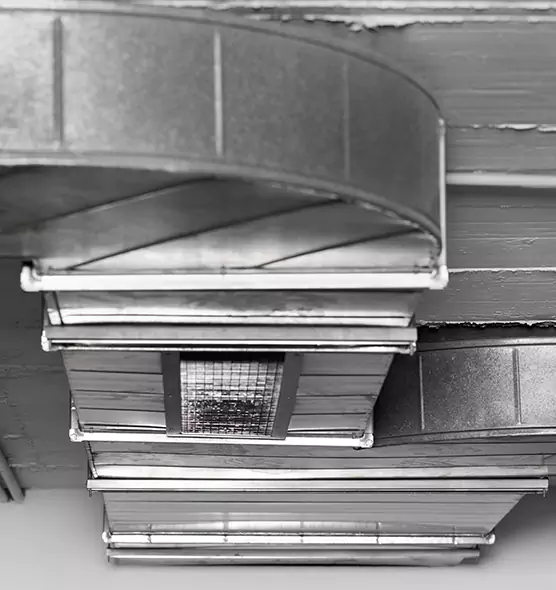 Professional Air Duct Pest Removal in Bensonhurst, NY