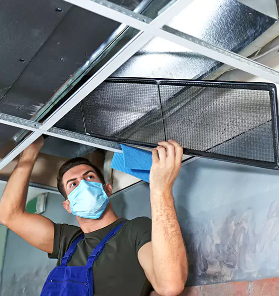 Professional Air Duct Pollen Cleaning in Gerritsen Beach, NY