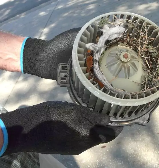 About Air Duct Rat Removal in Gerritsen Beach, NY