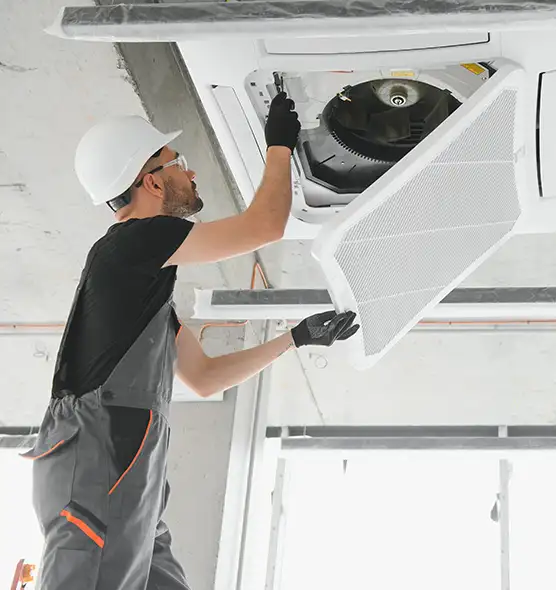 About Air Duct Rodent Removal in Bensonhurst, NY