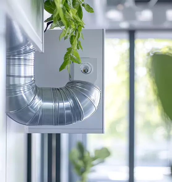 Professional Eco-Friendly Duct Cleaning Services in Cobble Hill, NY