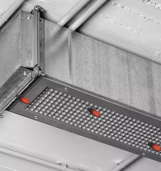 Affordable Insect Removal from Air Ducts in Clinton Hill, NY