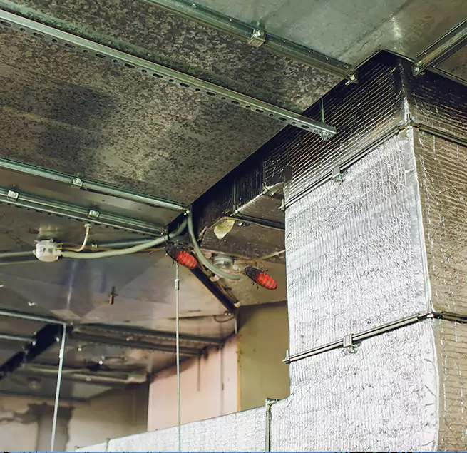 Why Homeowners & Businesses Trust Us in East New York, NY?