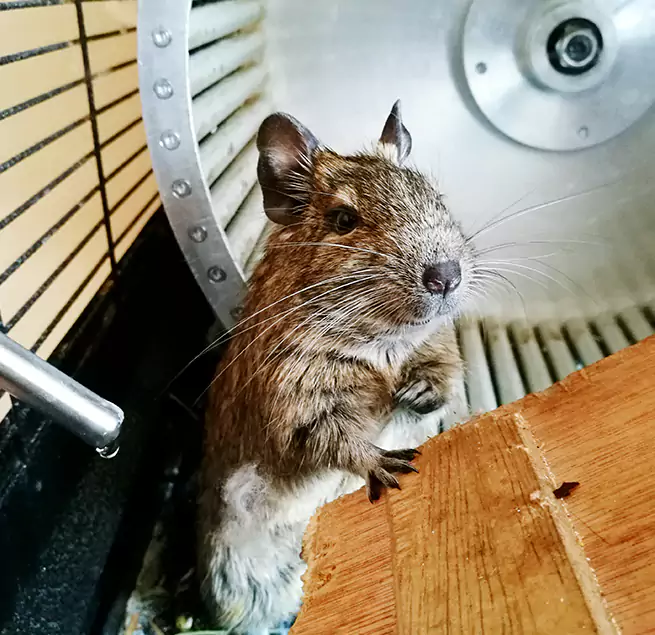 Why Homeowners & Businesses Trust Us Cypress Hills, NY?