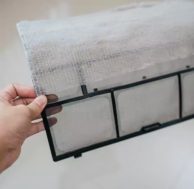 Why Homeowners & Businesses Trust Us in Albemarle-Kenmore Terraces Historic District, NY?