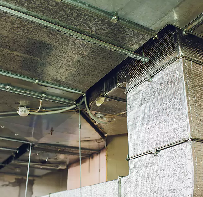 Why Homeowners & Businesses Trust Us in Borough Park, NY?