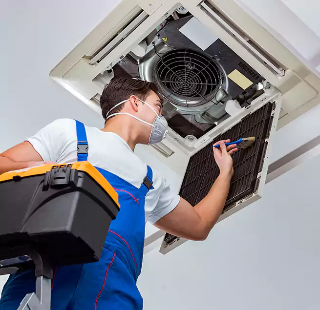 Why Homeowners & Businesses Trust Us in Albemarle-Kenmore Terraces Historic District, NY?