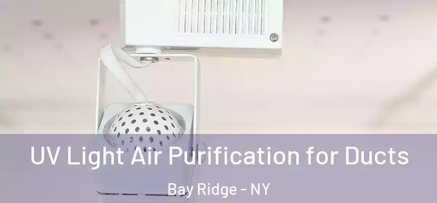 UV Light Air Purification for Ducts Bay Ridge - NY