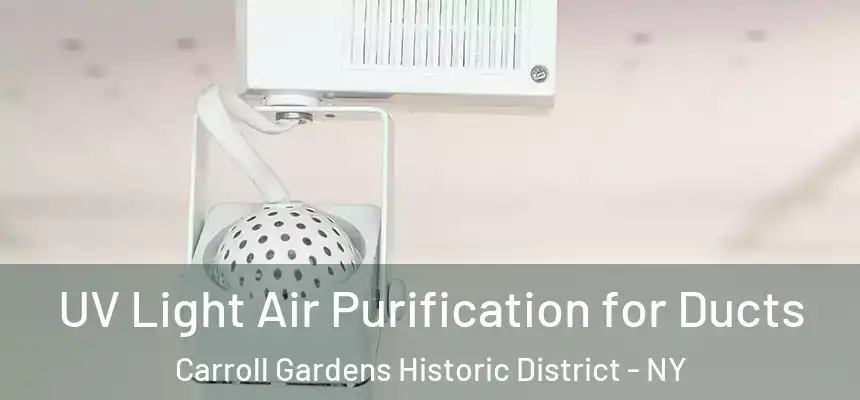 UV Light Air Purification for Ducts Carroll Gardens Historic District - NY