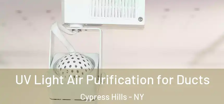 UV Light Air Purification for Ducts Cypress Hills - NY