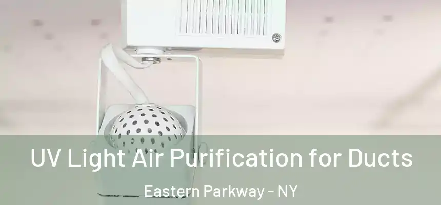 UV Light Air Purification for Ducts Eastern Parkway - NY