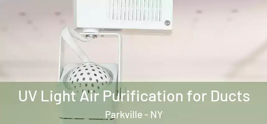 UV Light Air Purification for Ducts Parkville - NY