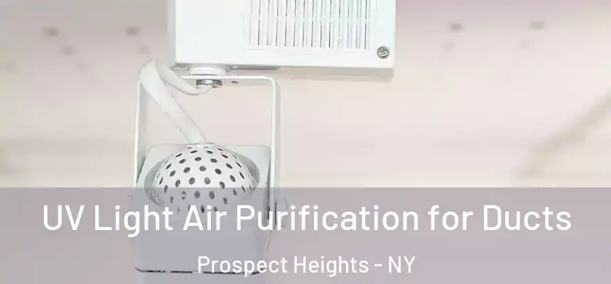 UV Light Air Purification for Ducts Prospect Heights - NY