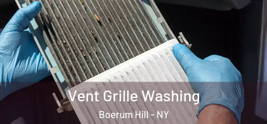 Vent Grille Washing Boerum Hill - NY