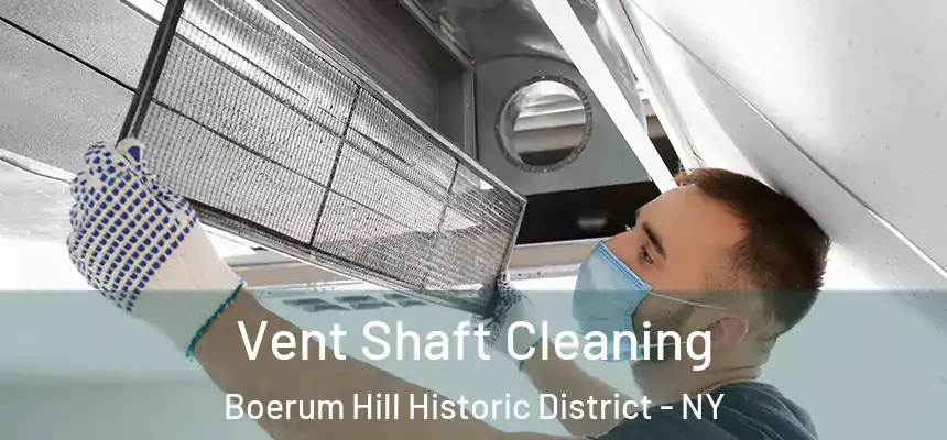  Vent Shaft Cleaning Boerum Hill Historic District - NY
