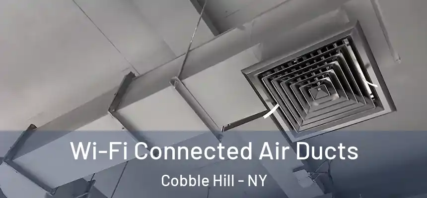 Wi-Fi Connected Air Ducts Cobble Hill - NY